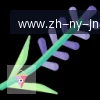 jn江南体育 logo