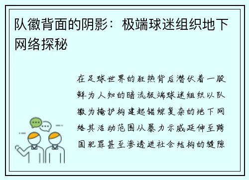 队徽背面的阴影：极端球迷组织地下网络探秘